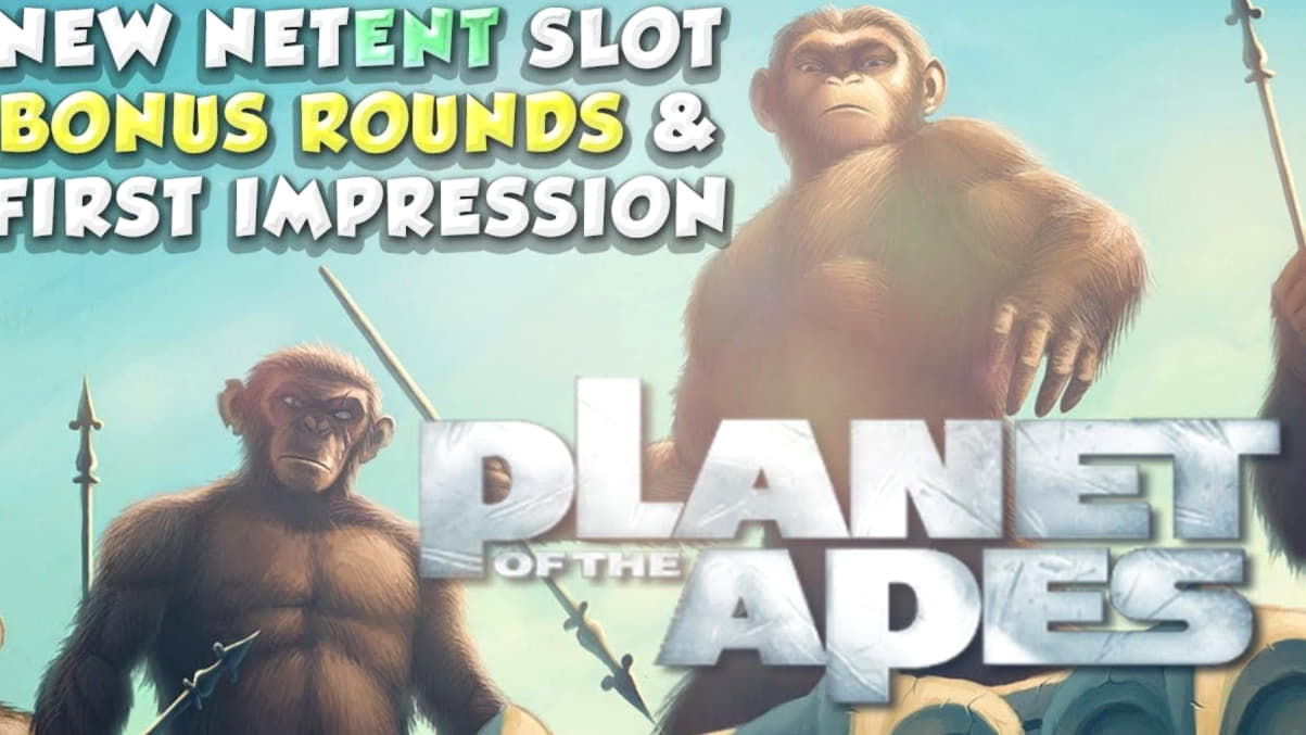 400% Bonificación sin reglas! en All Slots Casino
